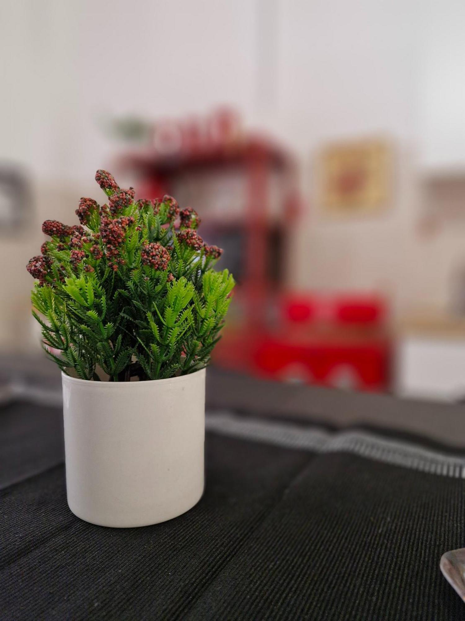 Casa Imma Bed & Breakfast Napoli Eksteriør bilde